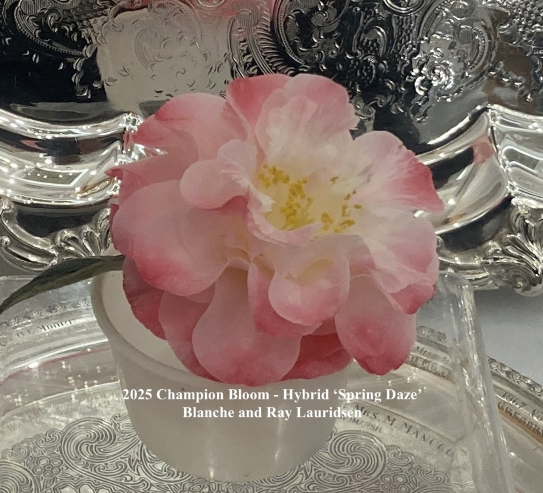 Screenshot 2026 01 09 At 4 04